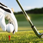 Port Elizabeth Golf Courses